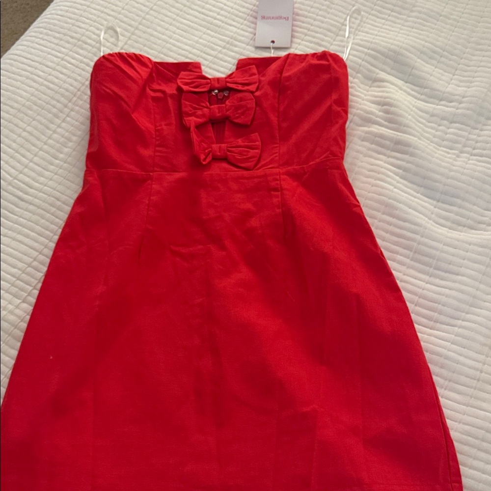 Brand new Beginning Boutique Dress